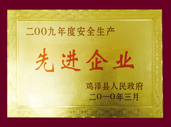 2009年度安全生产先进企业